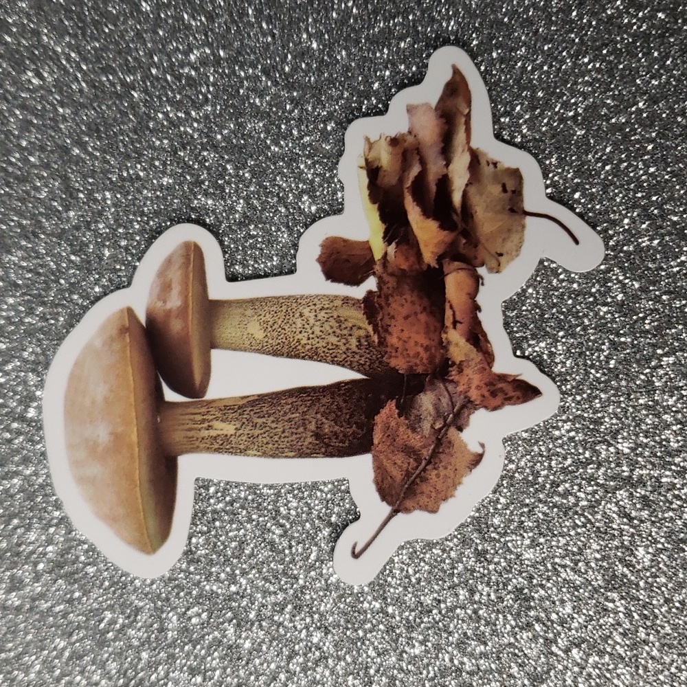 NATURE WATERPOOF Sticker mushrooms